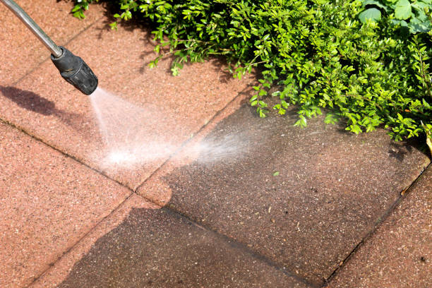 Best Exterior Home Cleaning  in Meadowbrook, CA